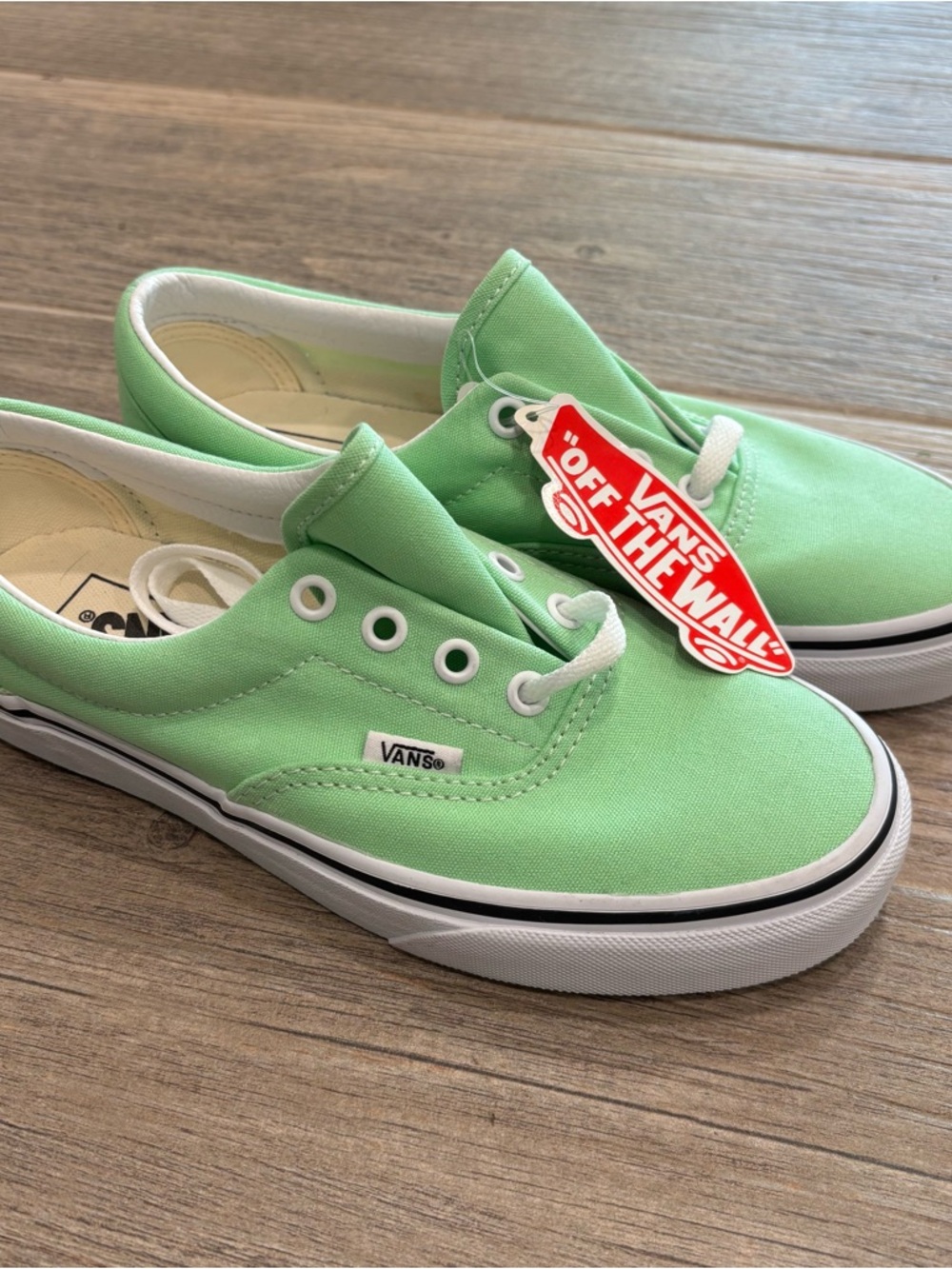 Vans Kids Authentic Low Top Sneakers in Mint Green